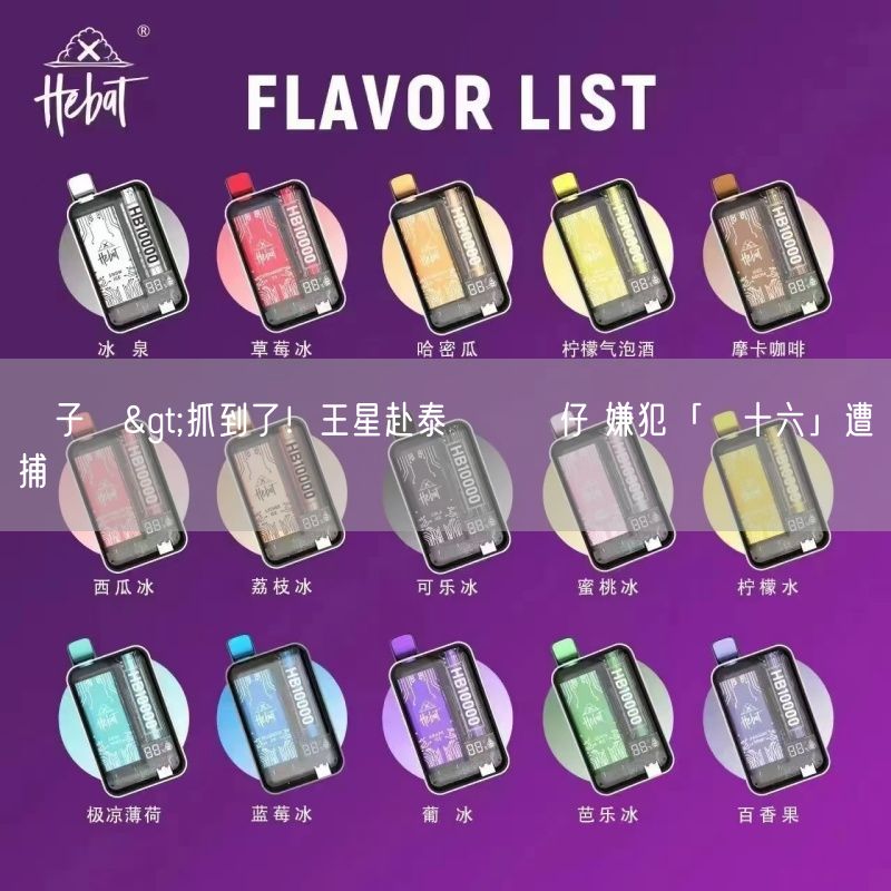 喜八辣電子煙>抓到了！王星赴泰緬淪豬仔 嫌犯「顏十六」遭捕